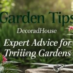 Garden Tips DecoradHouse Expert Advice for Thriving Gardens